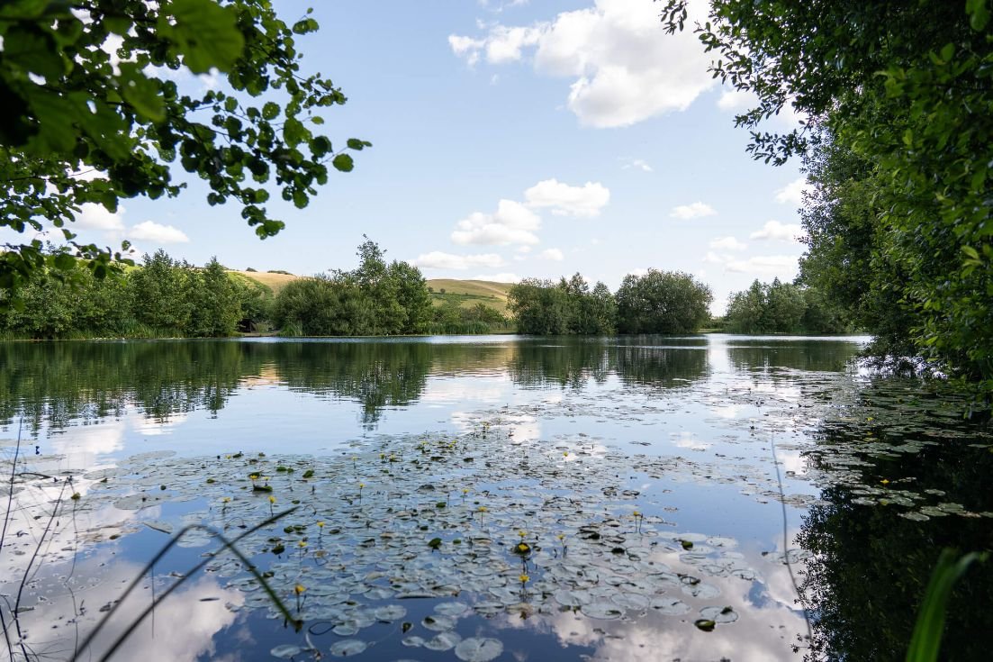 Near Gatten Lake bank swims