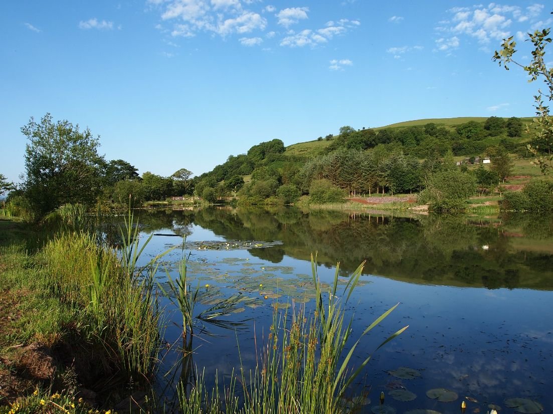 Near Gatten – carp fishing in Shropshire